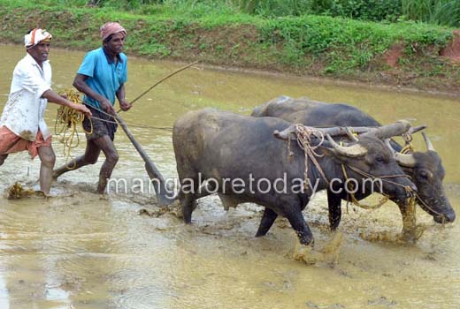 ’Aati Kuta’ at Pilikula a taste of heritage for all 1